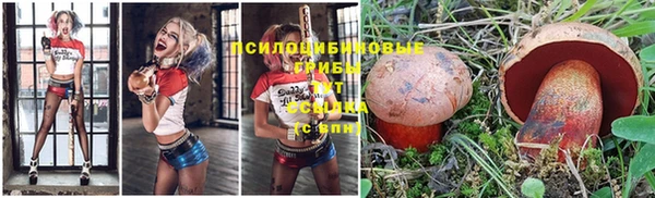 стафф Михайлов