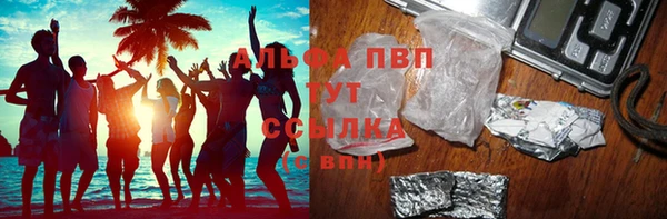 PSILOCYBIN Михайловск
