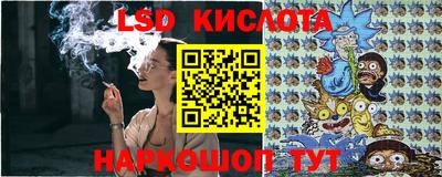 кокс Донской