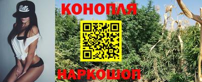 кокс Донской