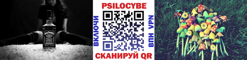 как найти наркотики  Мегион  Галлюциногенные грибы мицелий 