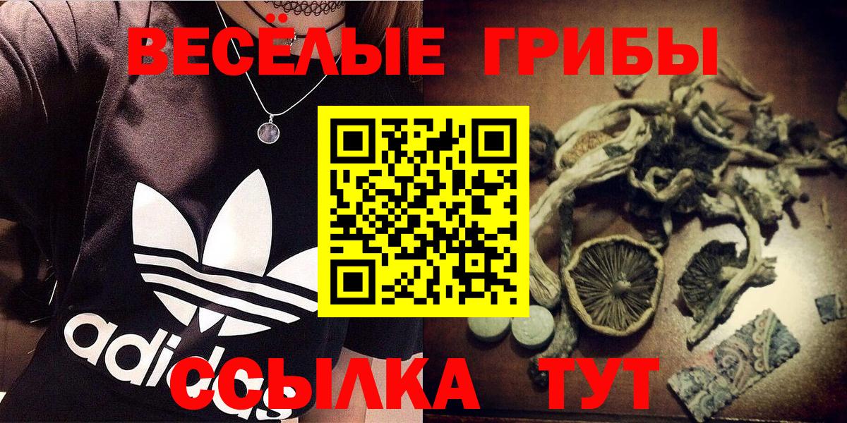 Галлюциногенные грибы MAGIC MUSHROOMS  Мегион  Псилоцибиновые грибы прущие грибы 