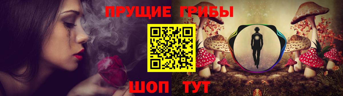 Псилоцибиновые грибы GOLDEN TEACHER Мегион