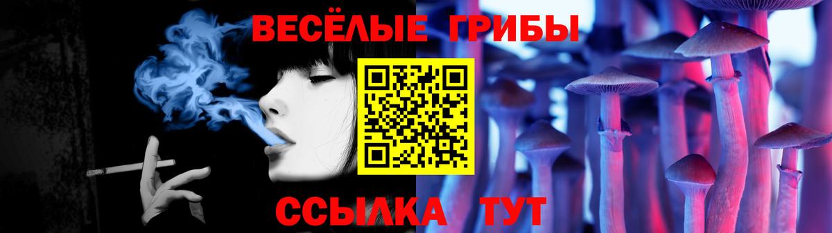 Псилоцибиновые грибы Psilocybe Мегион